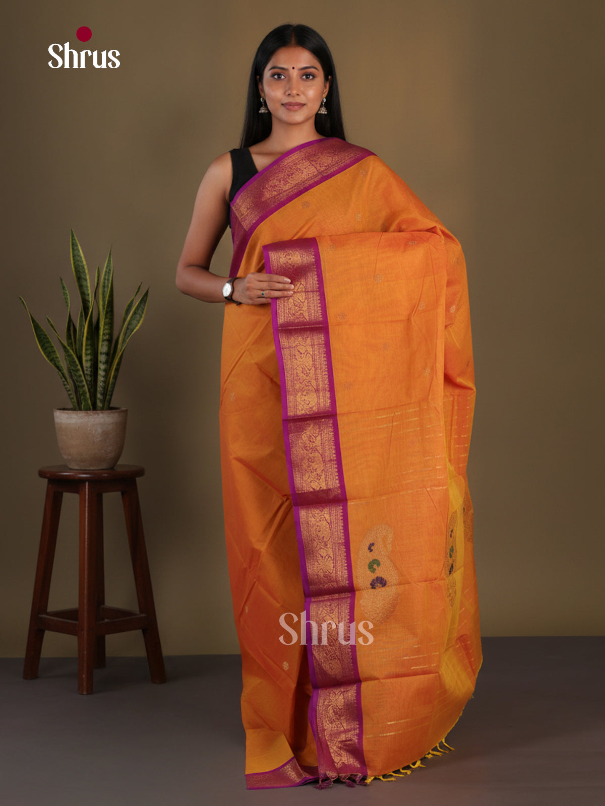 Chettinad Cotton Saree - EFS11039 - Shop on Shrus.com