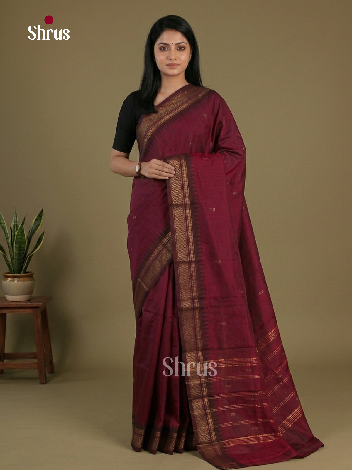Chettinad Mix Cotton Saree - EFS11041 - Shop on Shrus.com