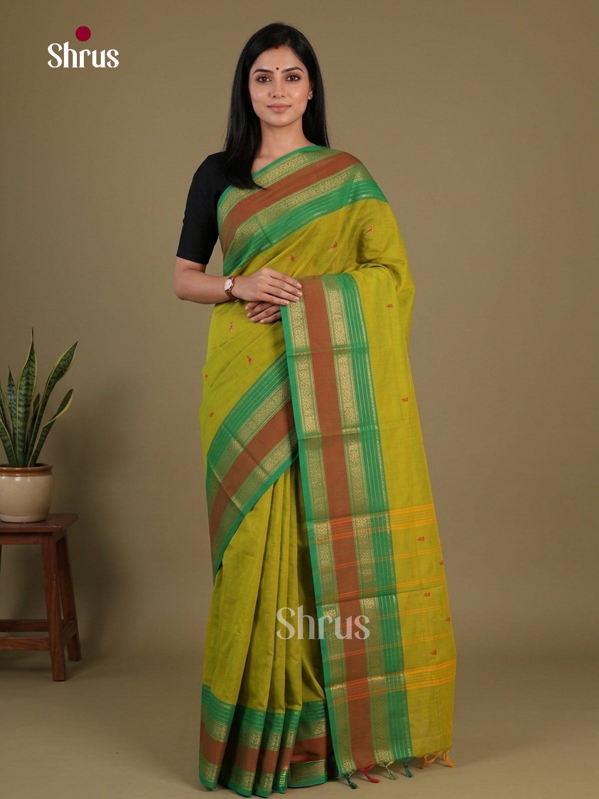 Chettinad Cotton Saree - EFS11046 - Shop on Shrus.com