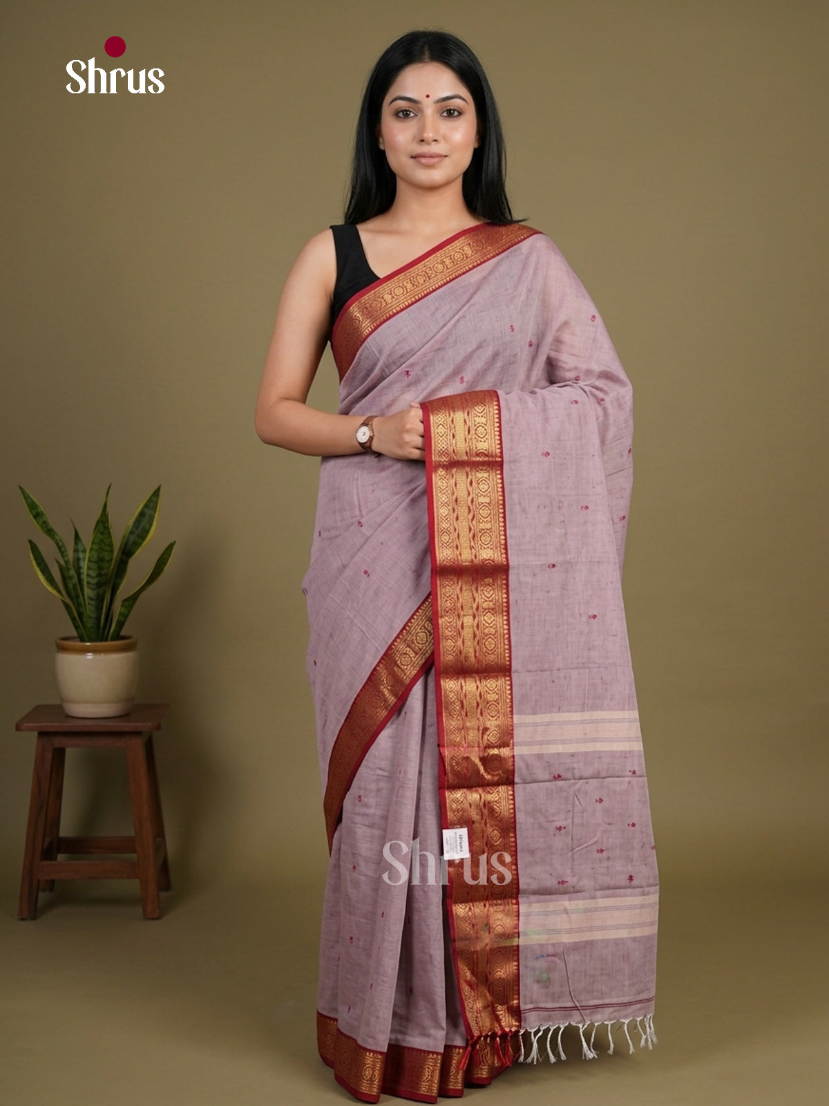 Chettinad Cotton Saree - EFS11058 - Shop on Shrus.com