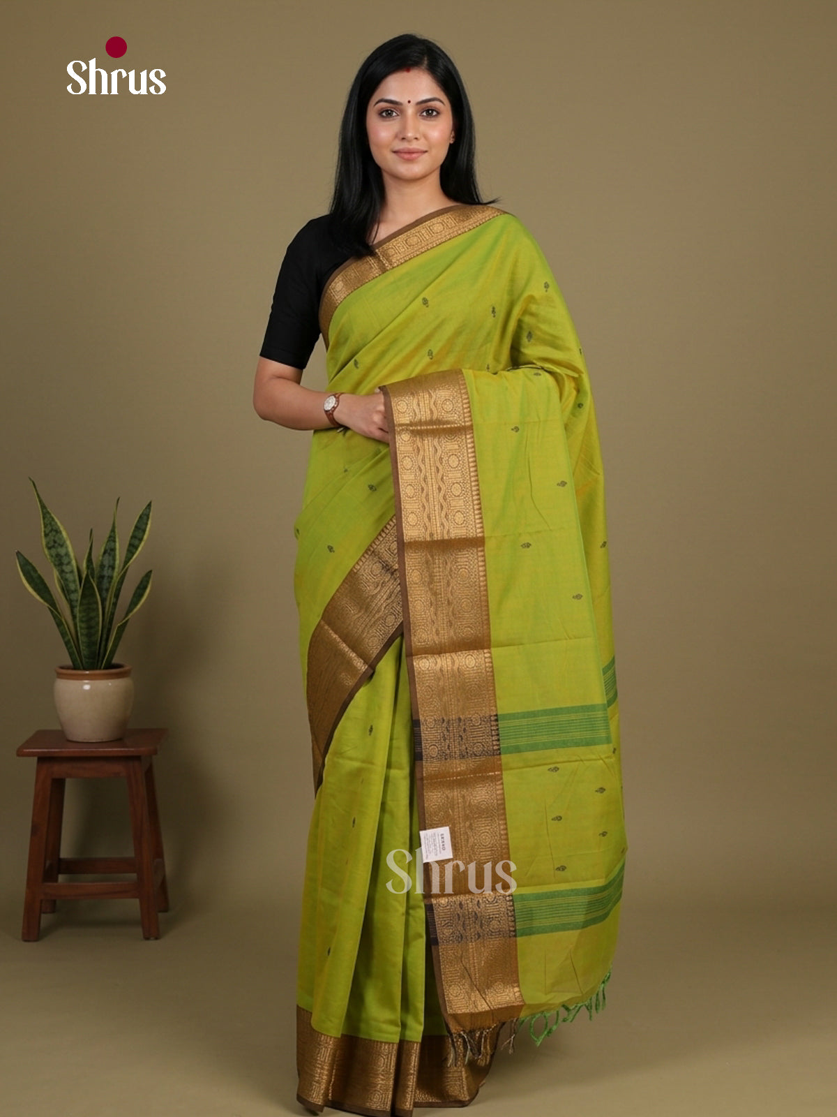 Chettinad Cotton Saree - EFS11060 - Shop on Shrus.com