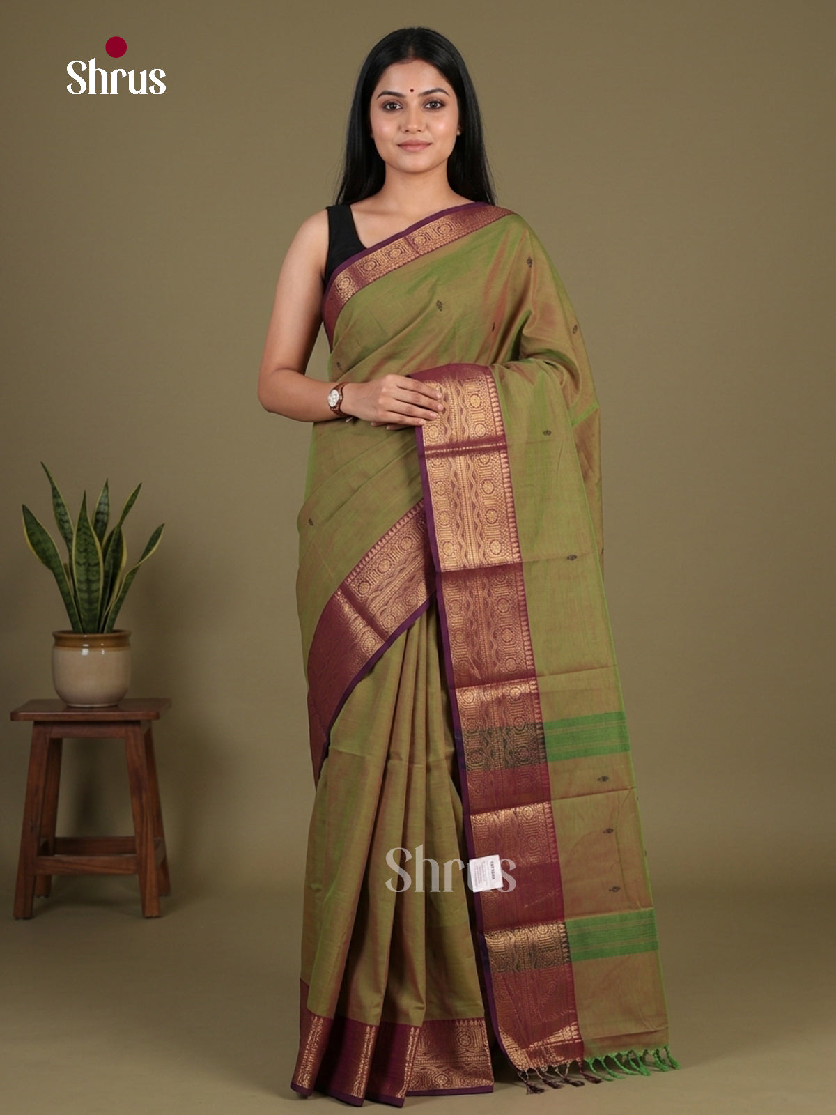 Chettinad Cotton Saree - EFS11063 - Shop on Shrus.com