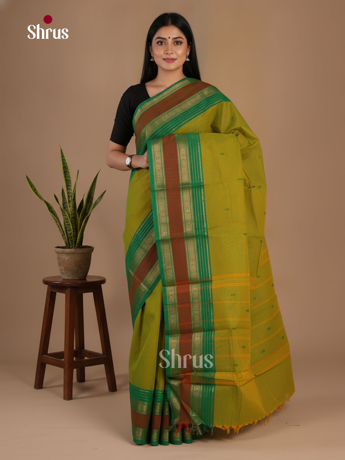 Chettinad Cotton Saree - EFS11064 - Shop on Shrus.com