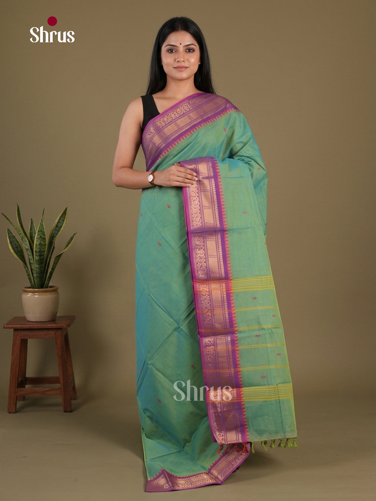 Chettinad Cotton Saree - EFS11065 - Shop on Shrus.com
