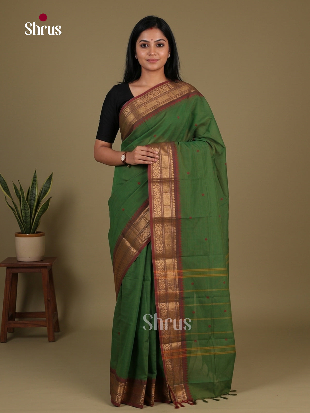 Chettinad Cotton Saree - EFS11069 - Shop on Shrus.com