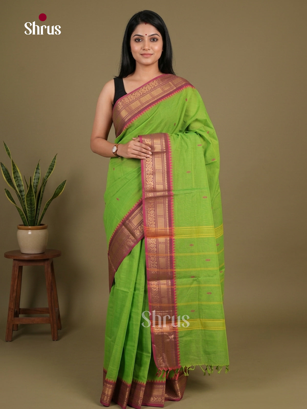 Chettinad Cotton Saree - EFS11071 - Shop on Shrus.com