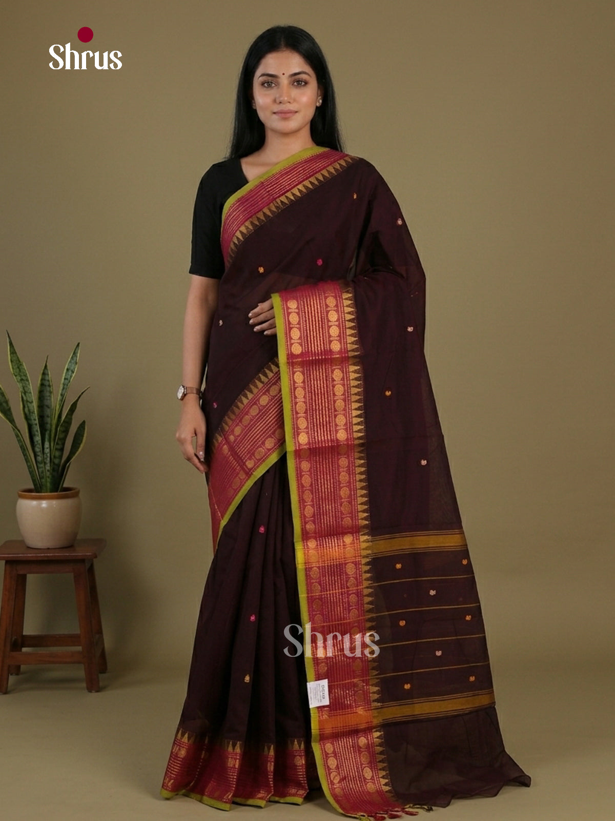 Chettinad Cotton Saree - EFS11081 - Shop on Shrus.com