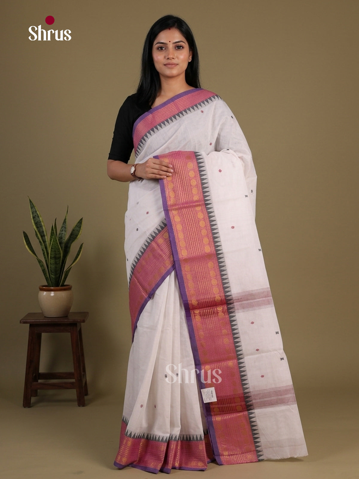 Chettinad Cotton Saree - EFS11082 - Shop on Shrus.com