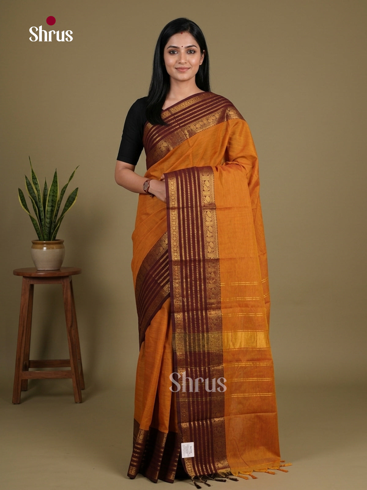 Chettinad Cotton Saree - EFS11168 - Shop on Shrus.com
