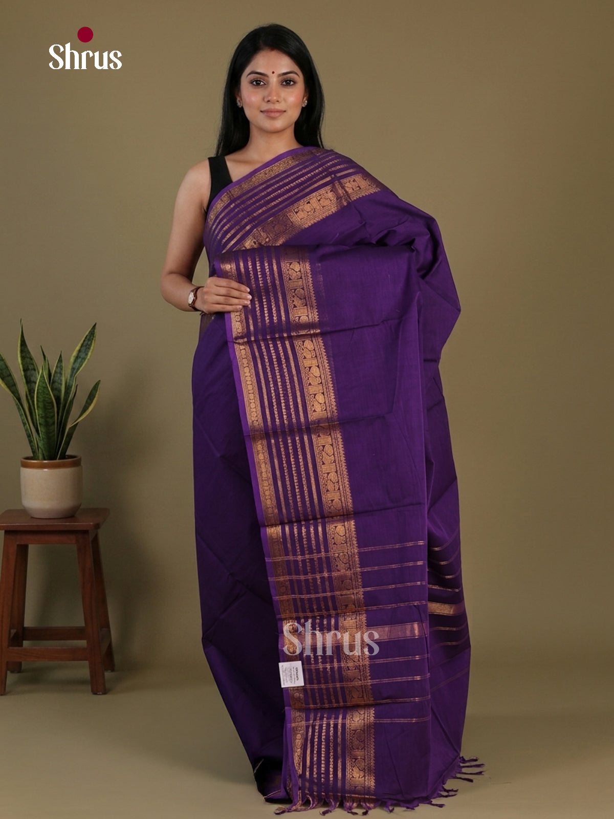 Chettinad Cotton Saree - EFS11170 - Shop on Shrus.com