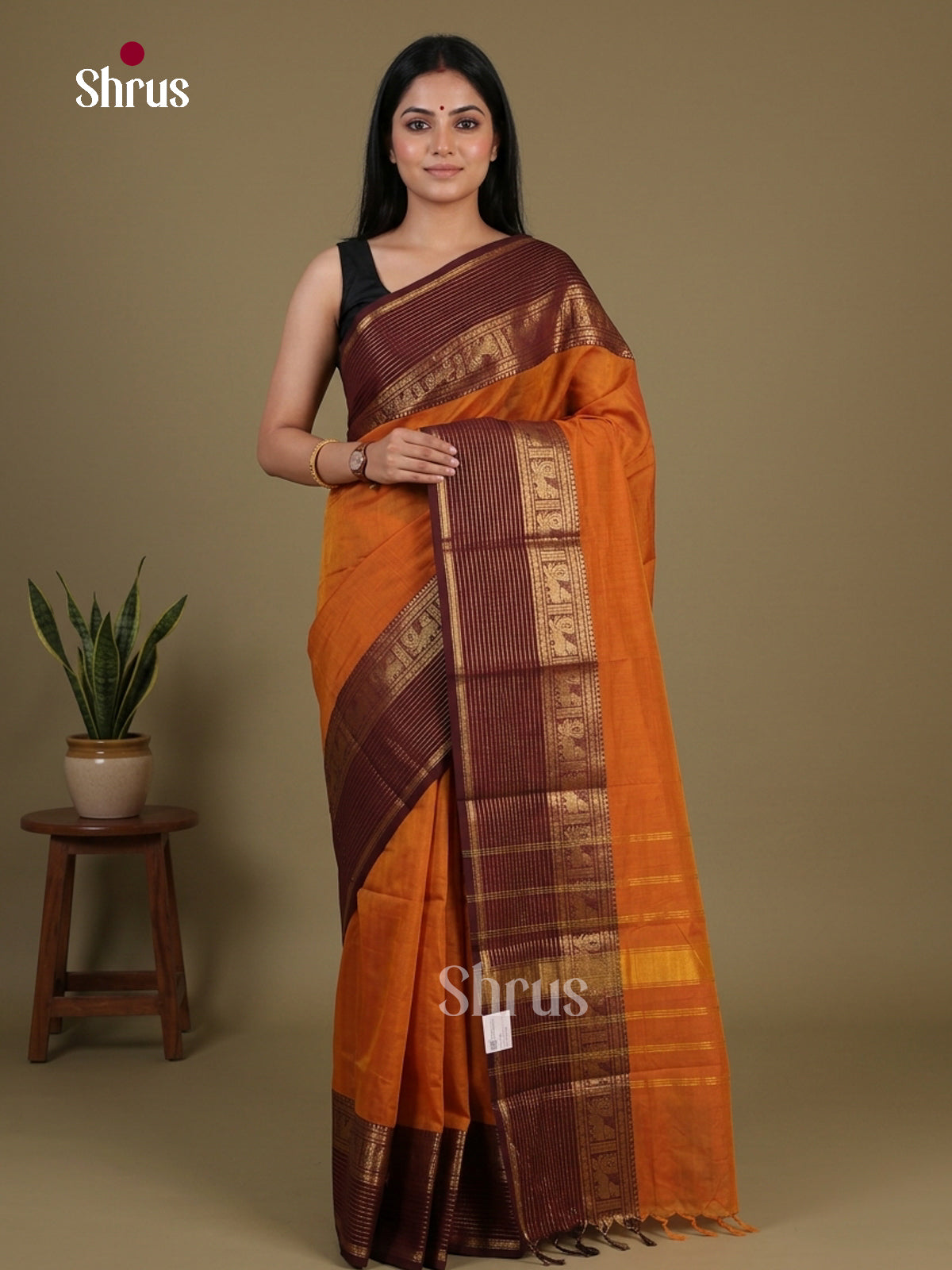 Chettinad Cotton Saree - EFS12158 - Shop on Shrus.com