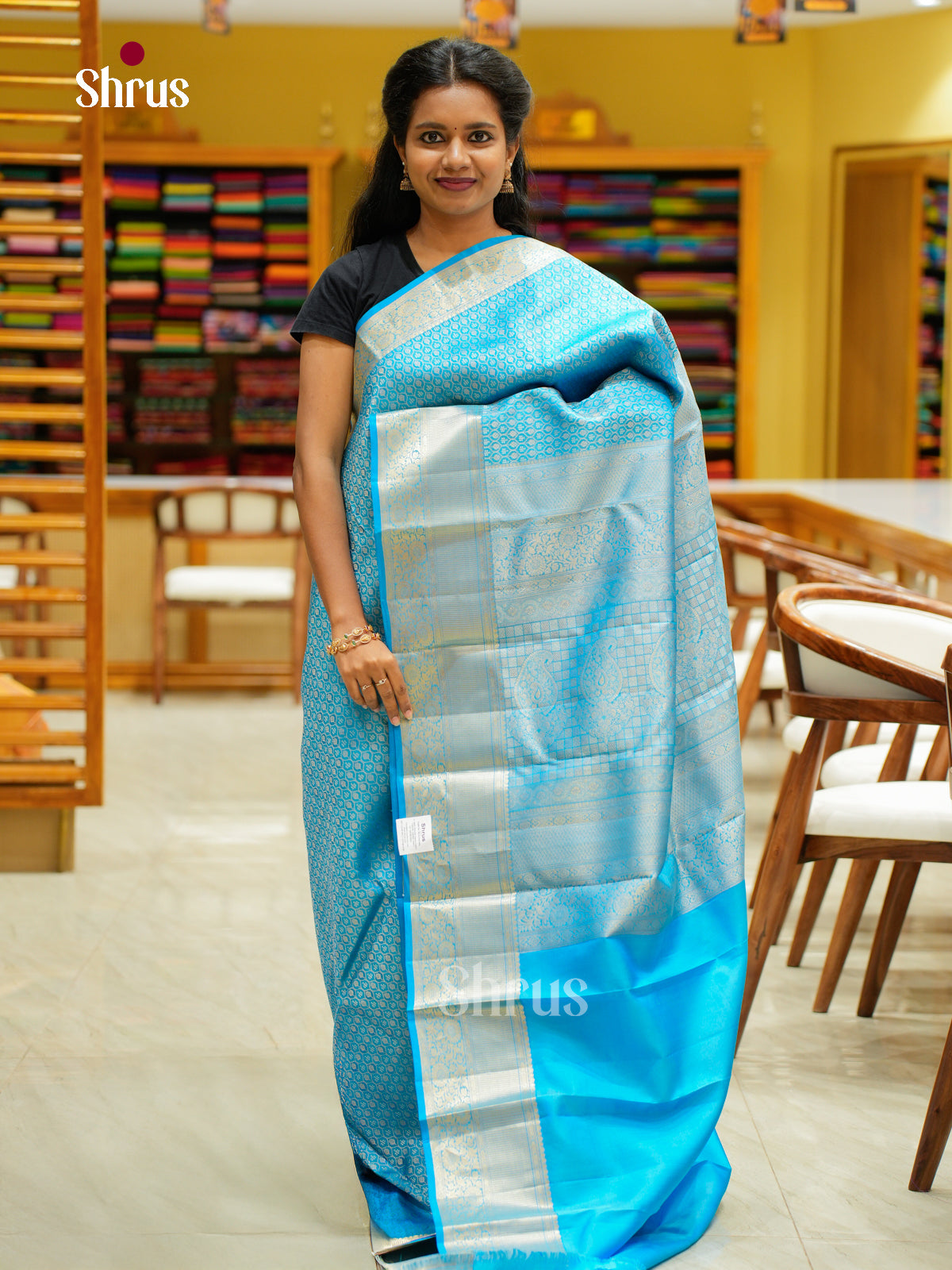 Kanchipuram silk Saree - EFS12236