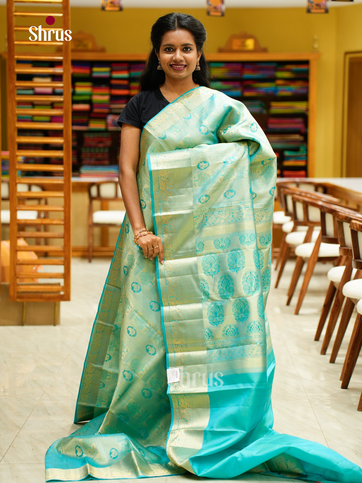 Kanchipuram silk Saree - EFS12240