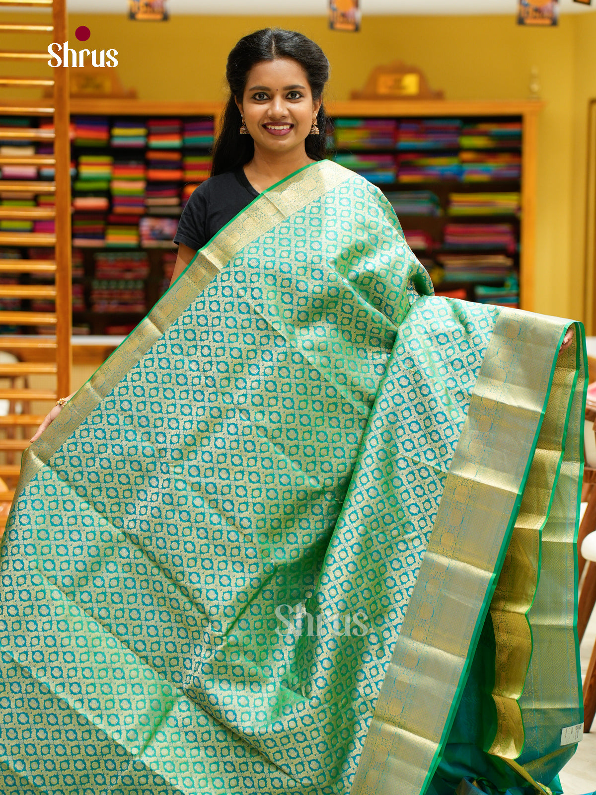 Kanchipuram silk Saree - EFS12244