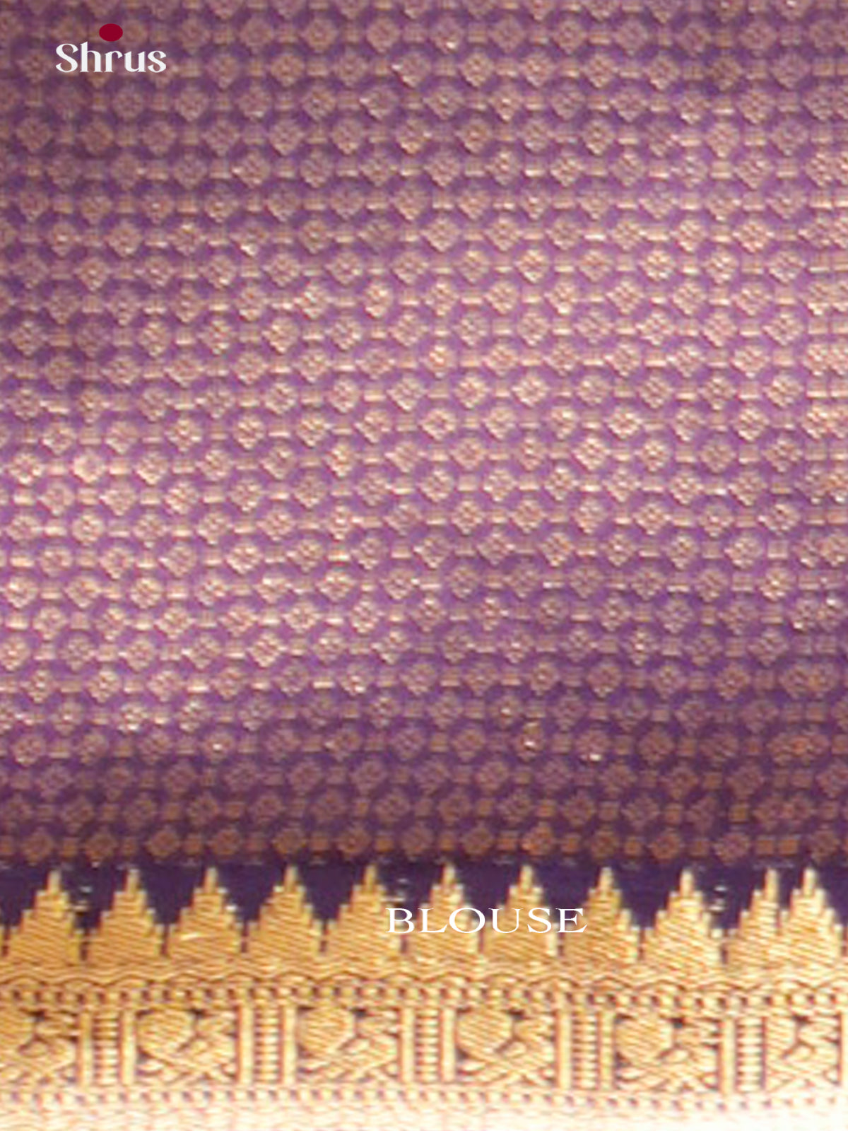 Kanchipuram silk Saree - EFS12345 - Shop on Shrus.com