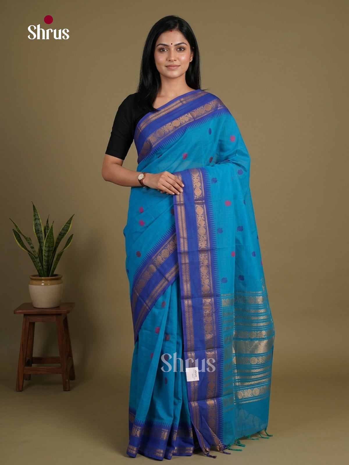 Chettinad Cotton Saree - EFS13021