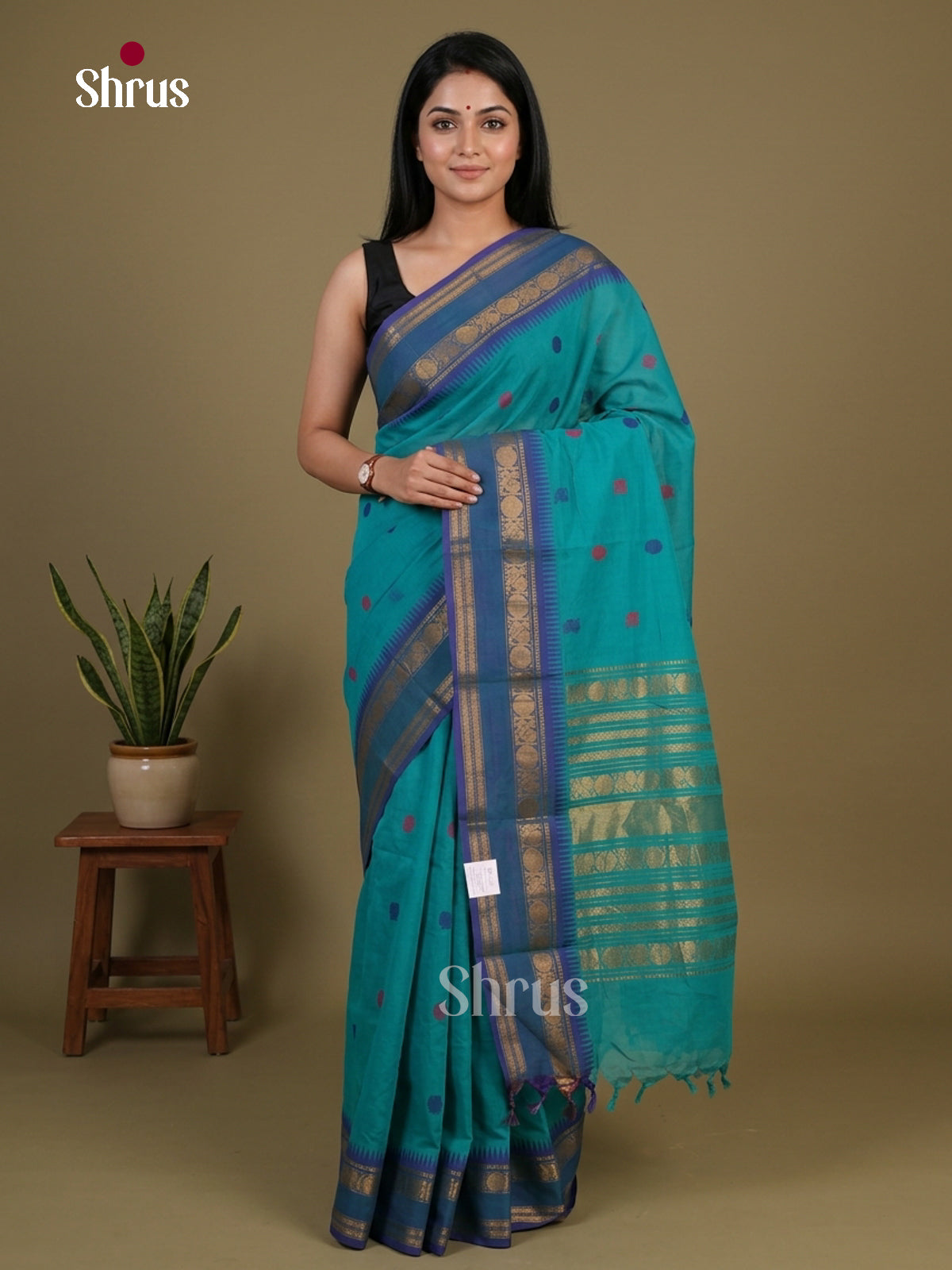 Chettinad Cotton Saree - EFS13024 - Shop on Shrus.com