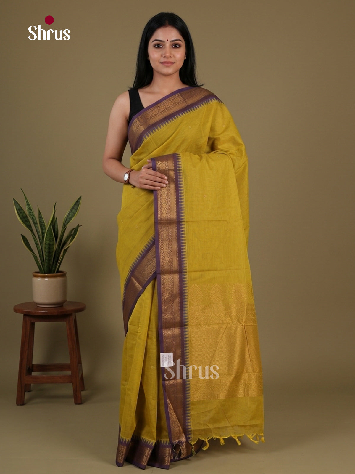 Chettinad Cotton Saree - EFS13031