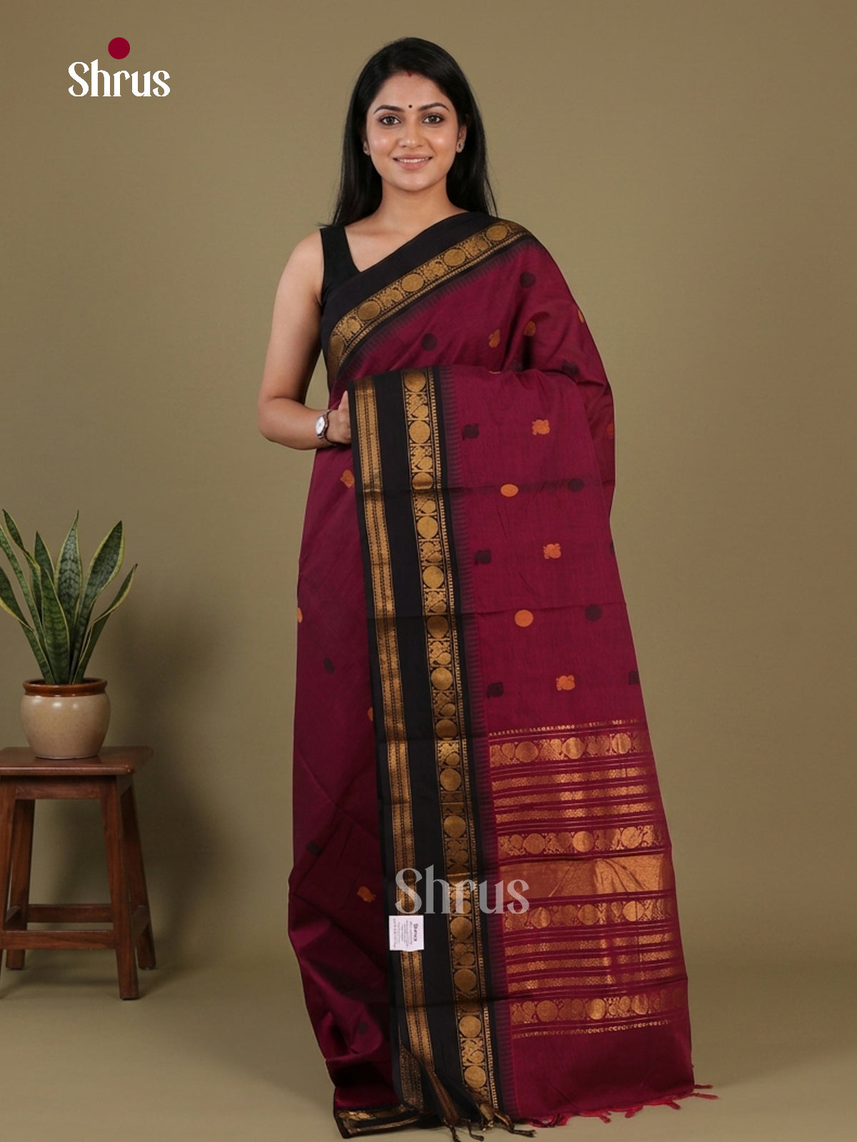 Chettinad Cotton Saree - EFS13042 - Shop on Shrus.com
