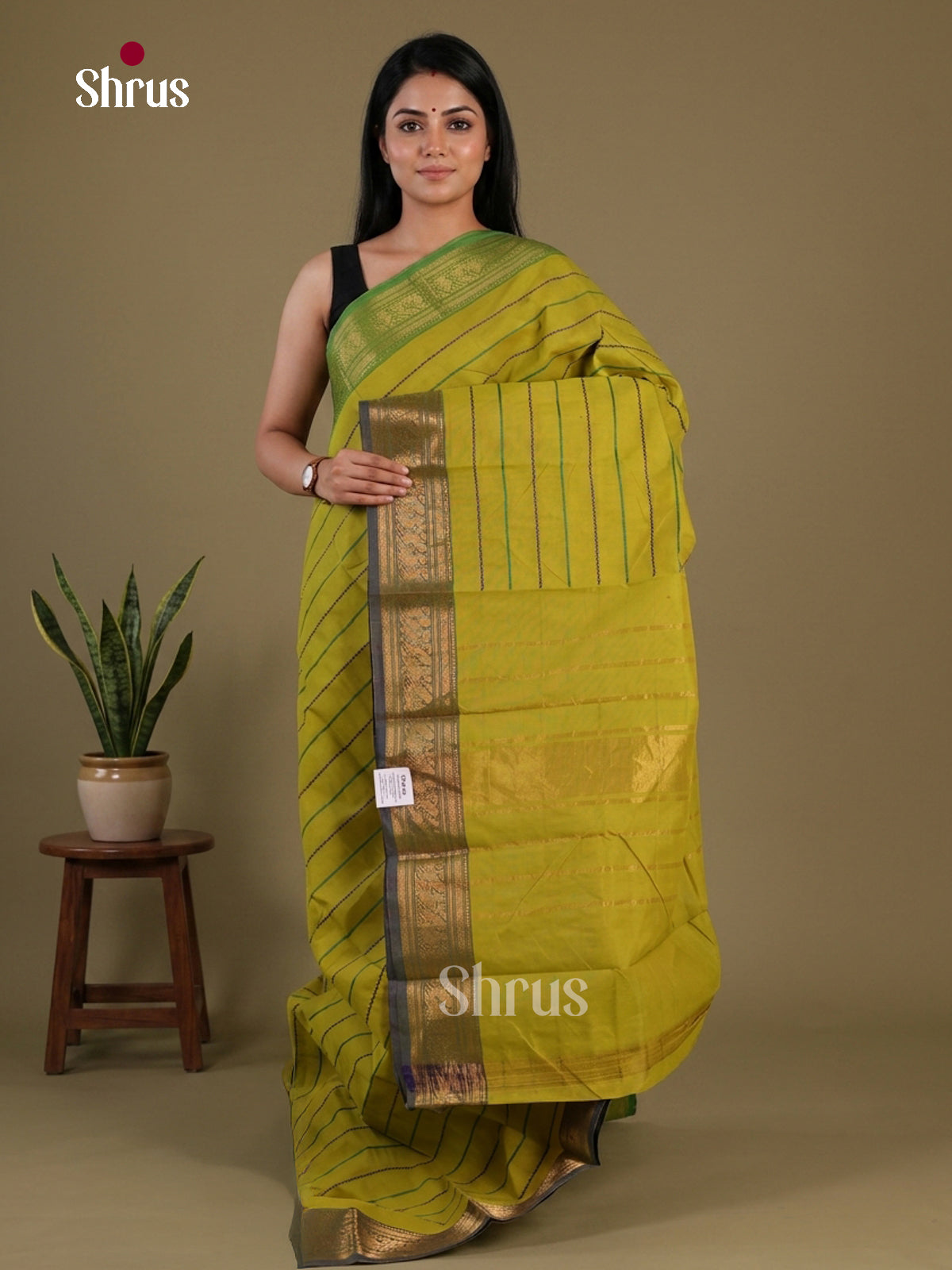 Chettinad Cotton Saree - EFS15006 - Shop on Shrus.com