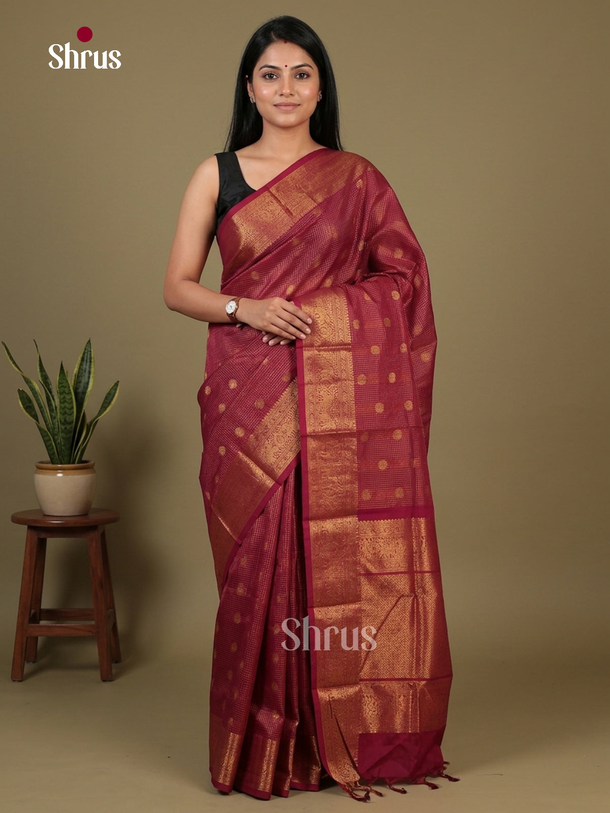 Chettinad Cotton Saree - EFS16011 - Shop on Shrus.com