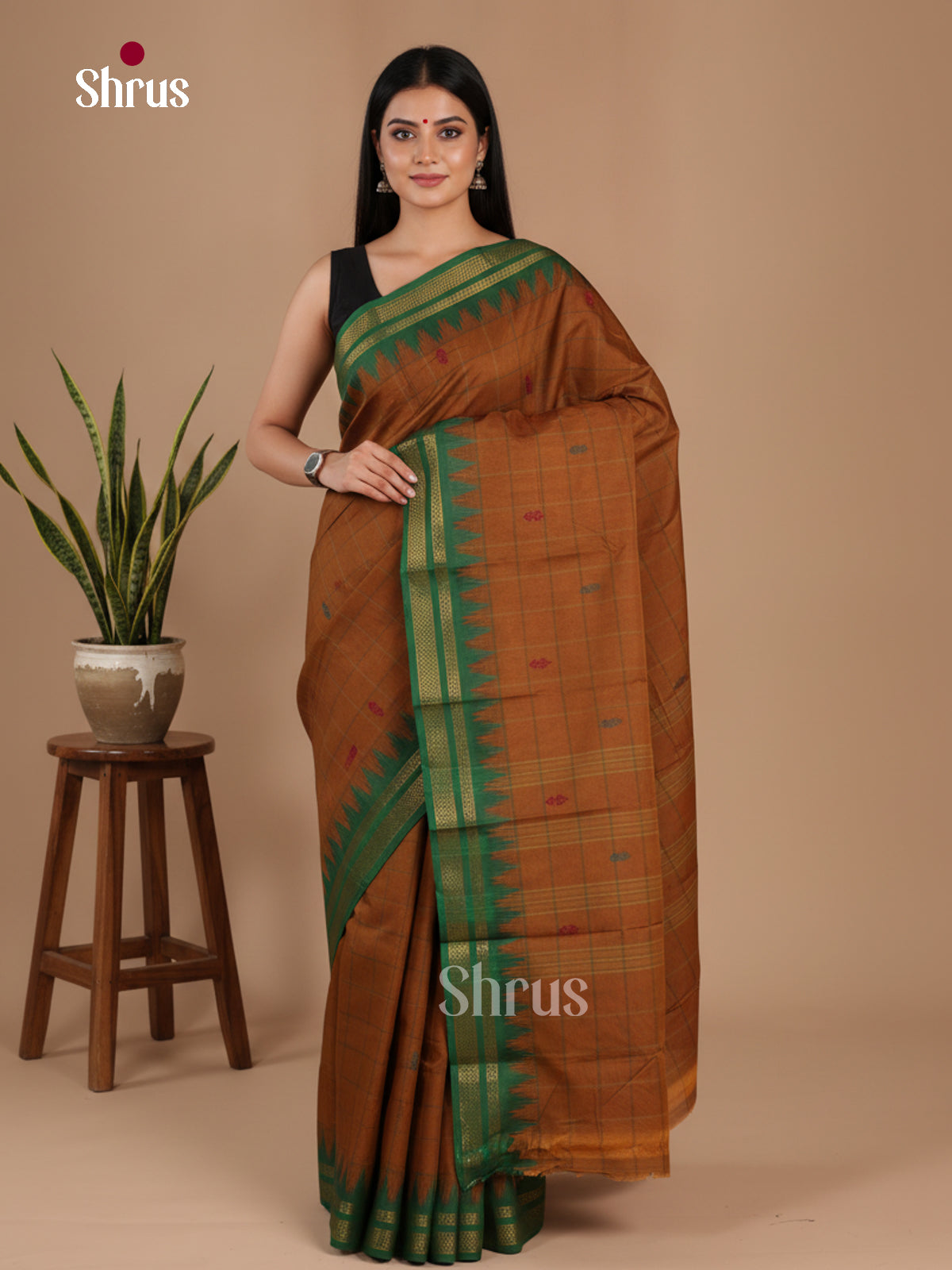 Chettinad Mix Cotton Saree - EFS16016