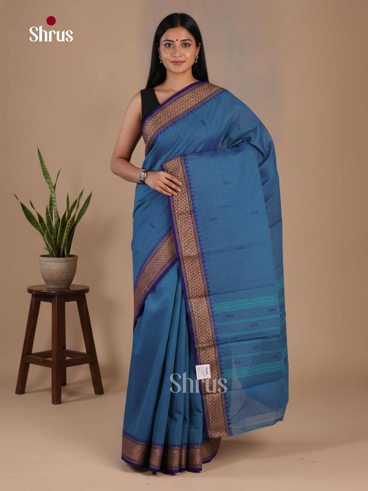 Chettinad Cotton Saree - EFS16048 - Shop on Shrus.com