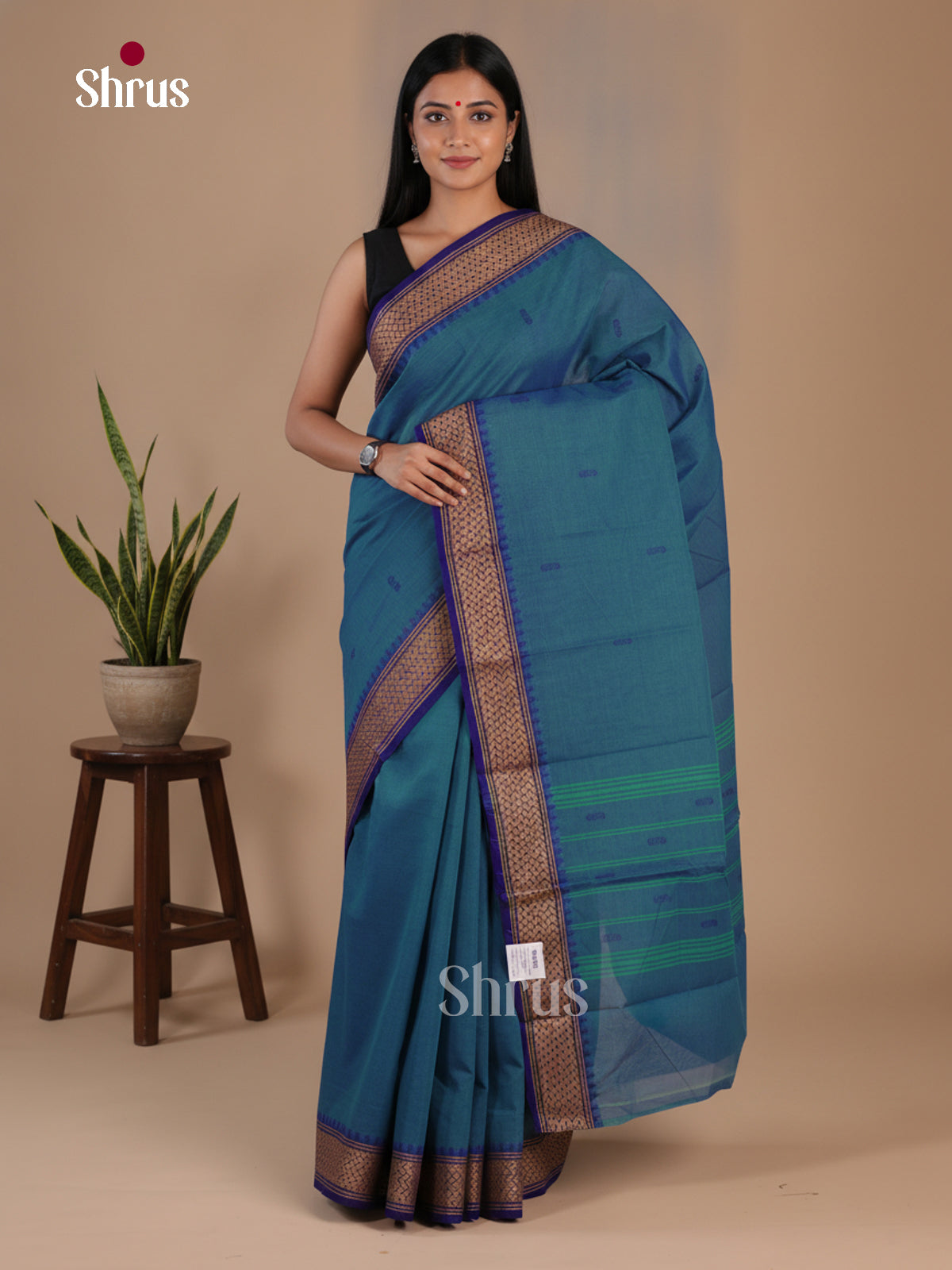 Chettinad Cotton Saree - EFS16048 - Shop on Shrus.com