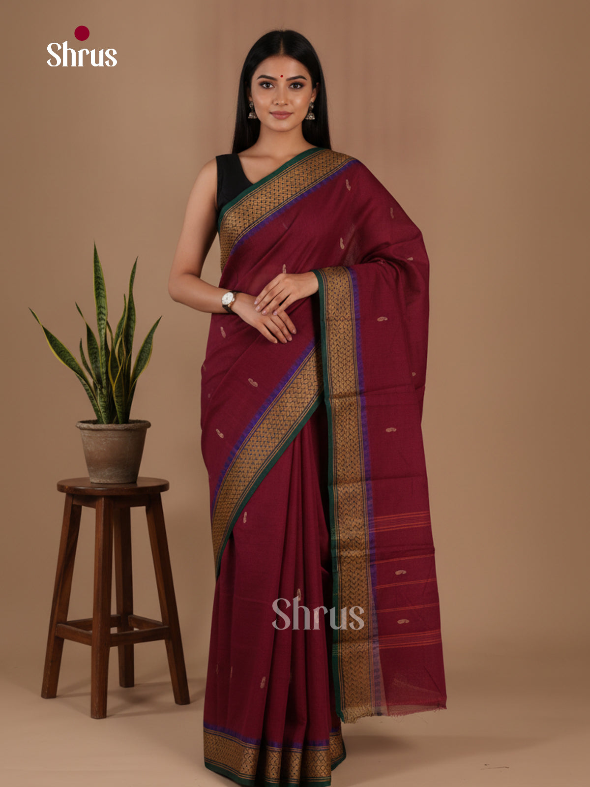 Chettinad Cotton Saree - EFS16049