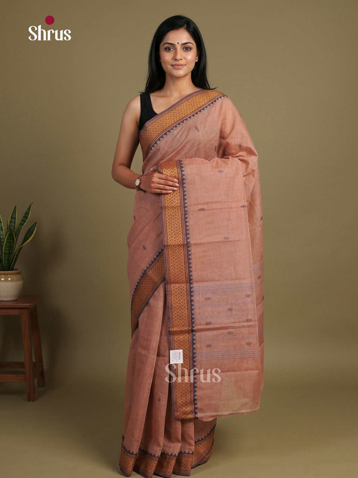 Chettinad Cotton Saree - EFS16054 - Shop on Shrus.com
