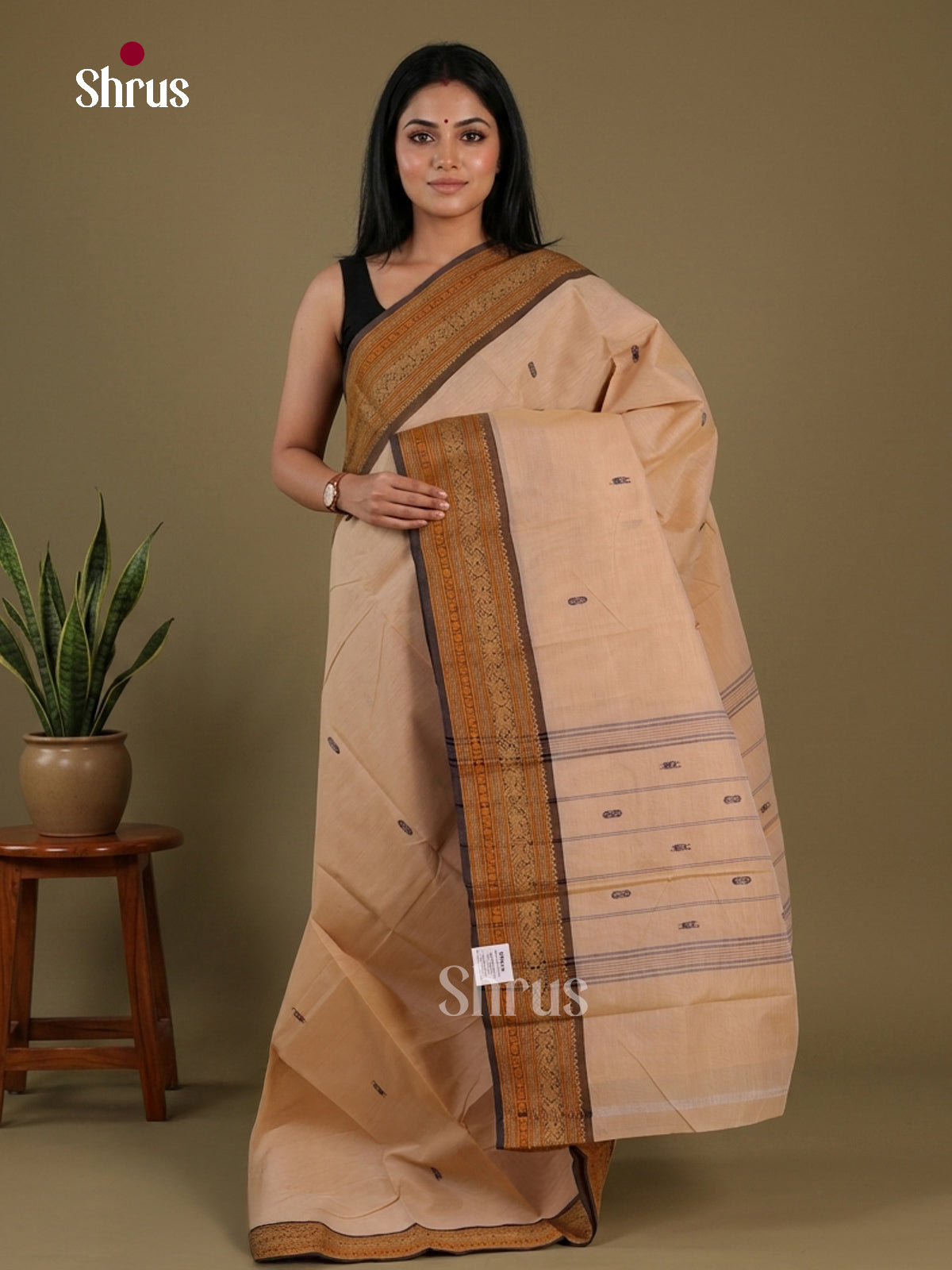 Chettinad Cotton Saree - EFS16063