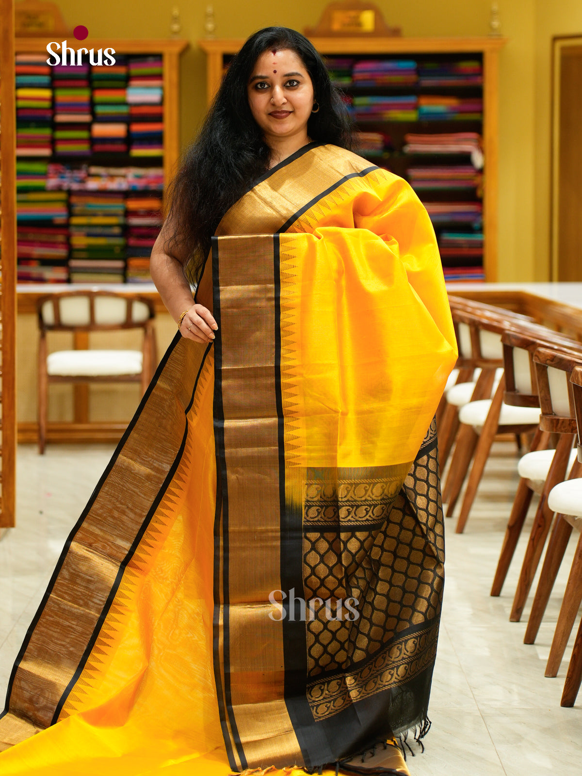 Silk Cotton Saree - EFS16084 - Shop on Shrus.com