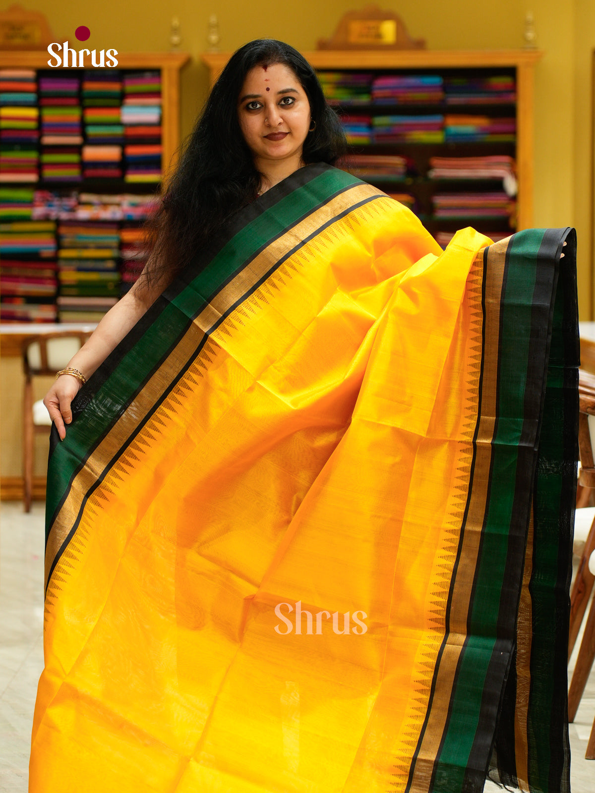 Silk Cotton Saree - EFS16093 - Shop on Shrus.com