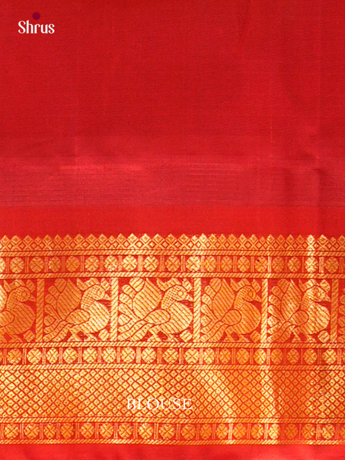Silk Cotton Saree - EFS16102 - Shop on Shrus.com