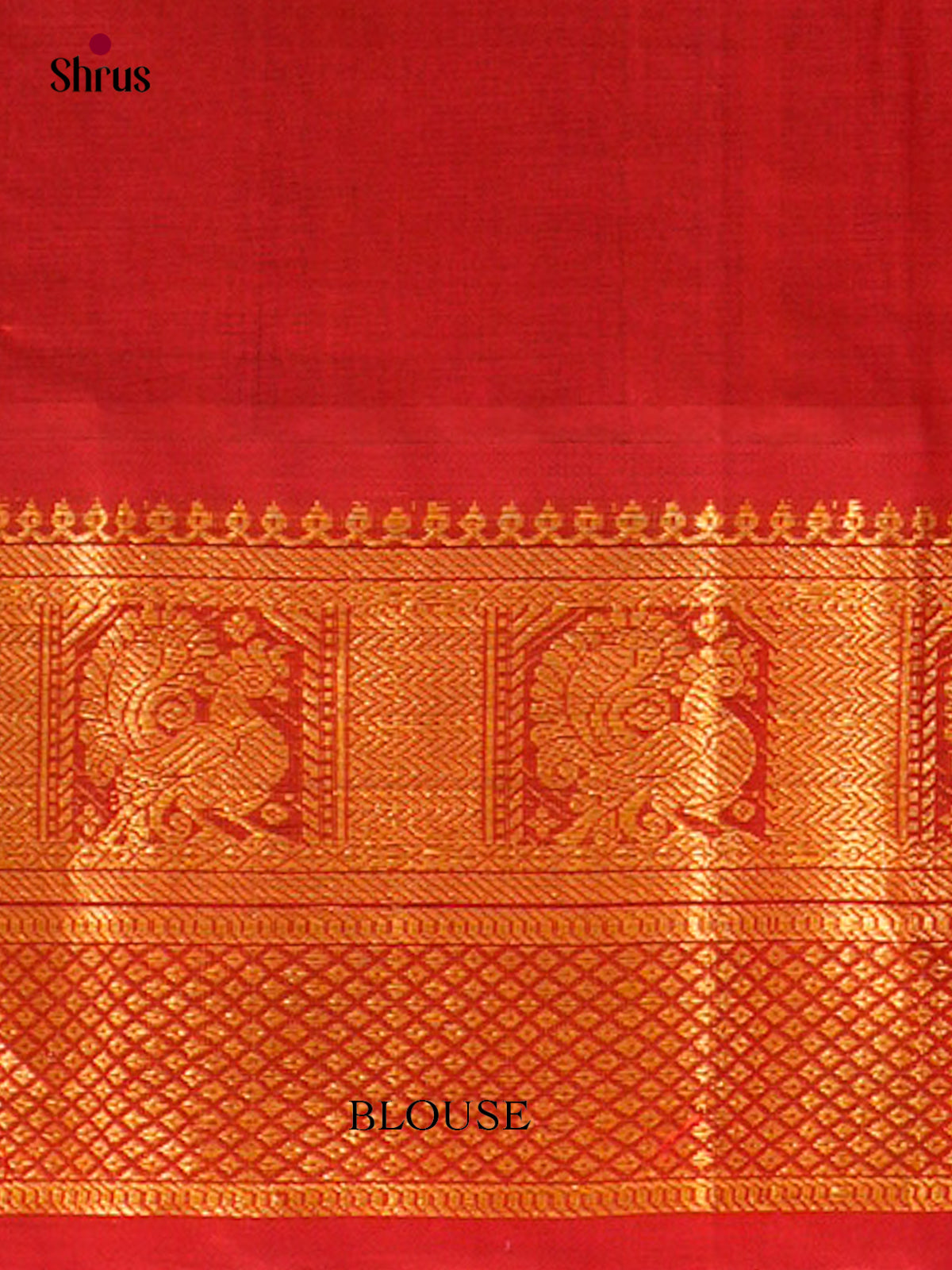 Silk Cotton Saree - EFS16126 - Shop on Shrus.com