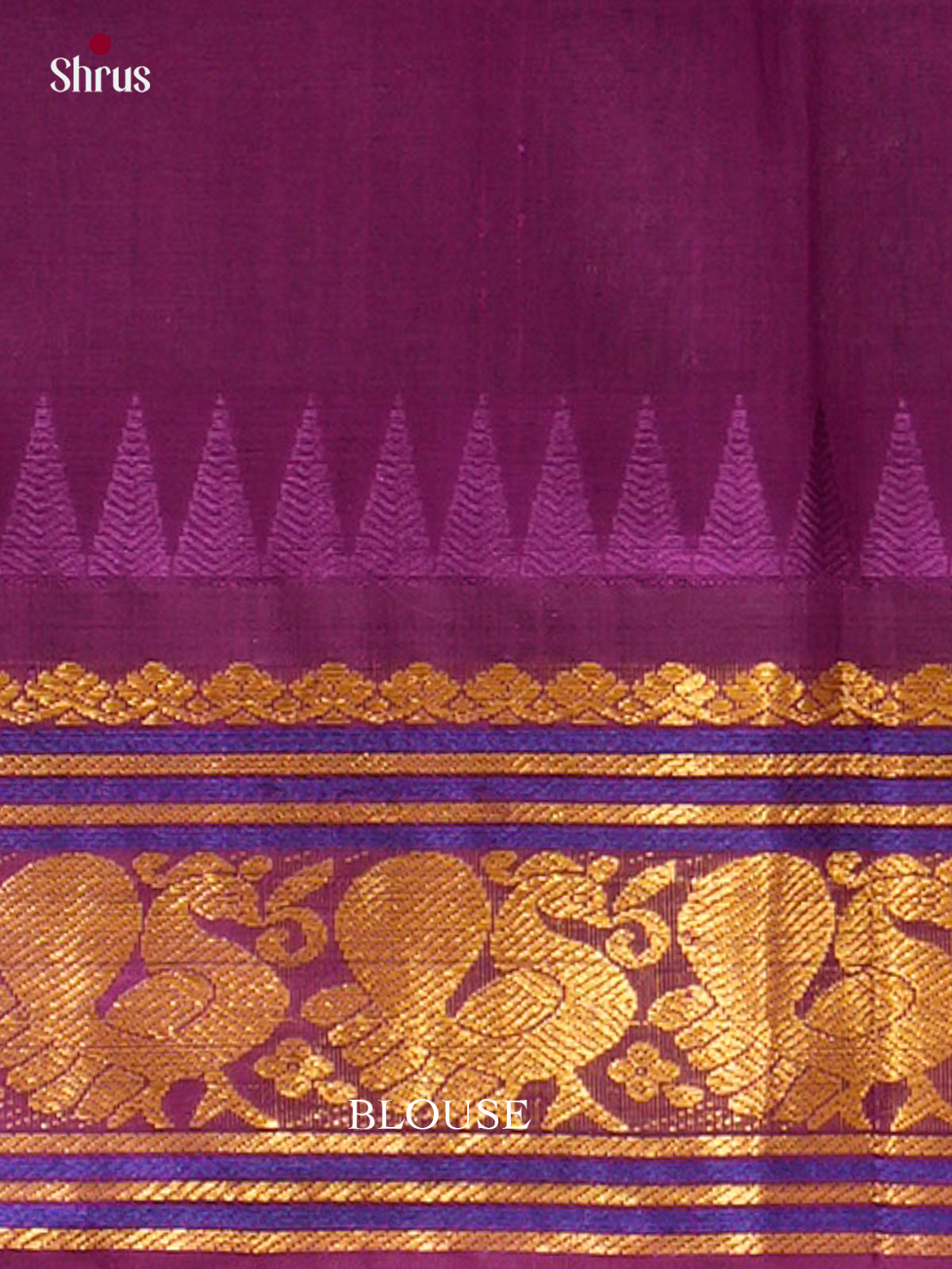Silk Cotton Saree - EFS16127 - Shop on Shrus.com