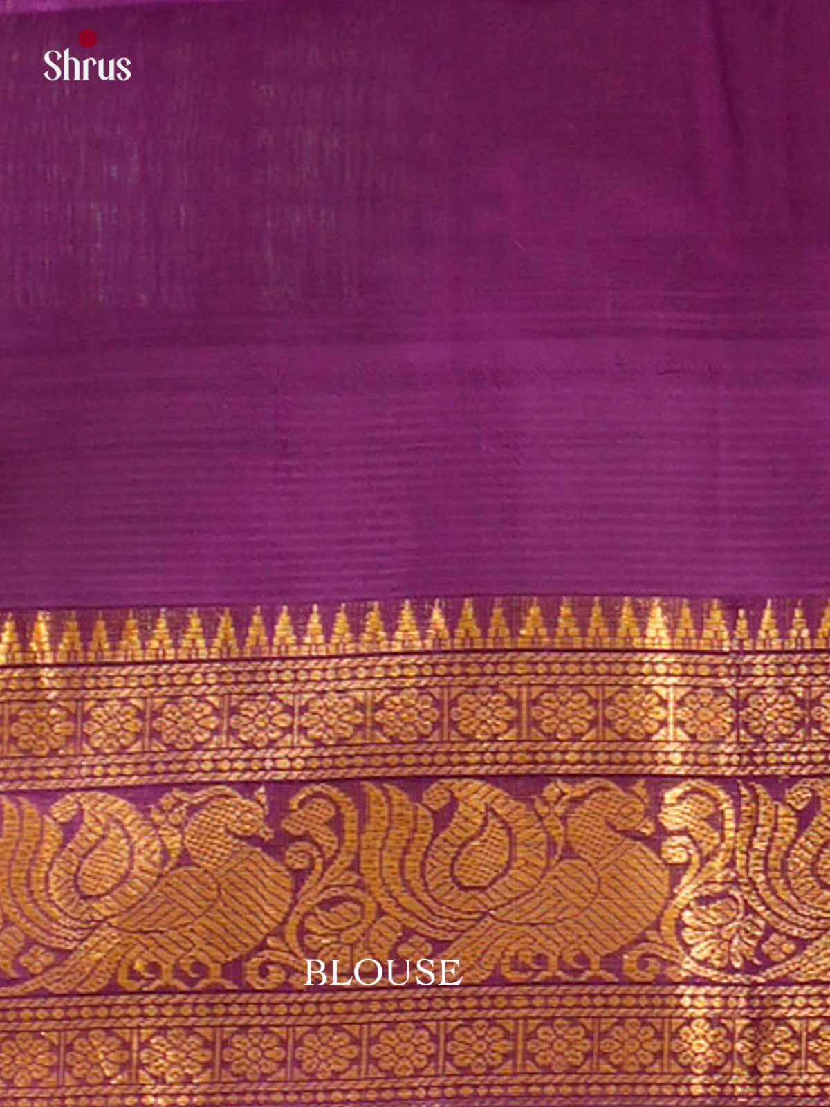 Silk Cotton Saree - EFS16133 - Shop on Shrus.com