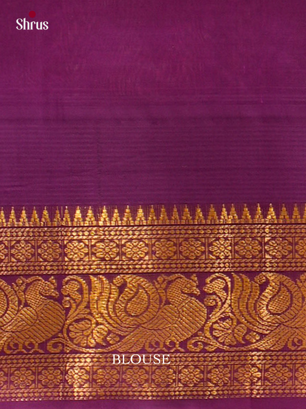 Silk Cotton Saree - EFS16134 - Shop on Shrus.com