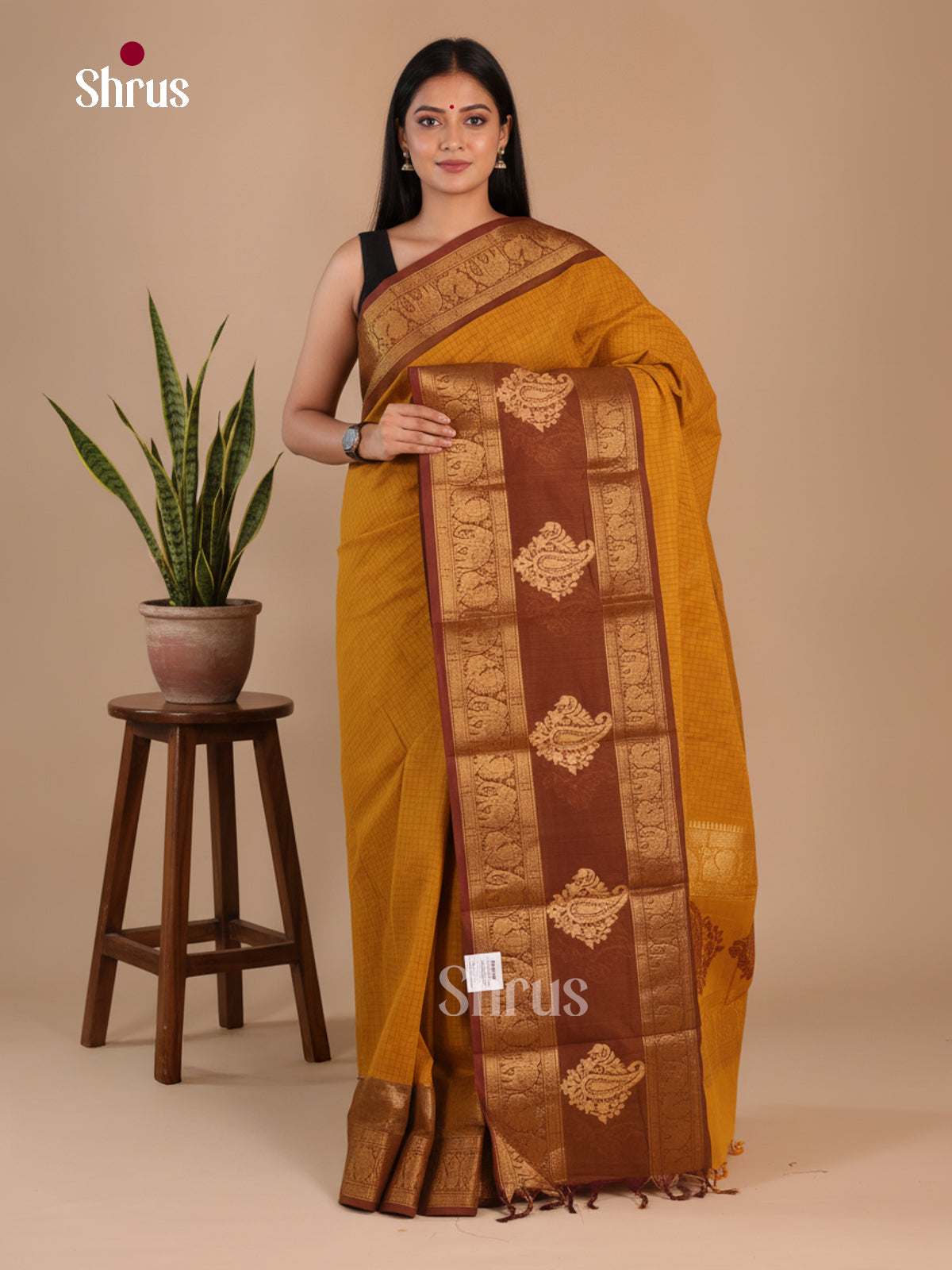 Chettinad Cotton Saree - EFS16135 - Shop on Shrus.com