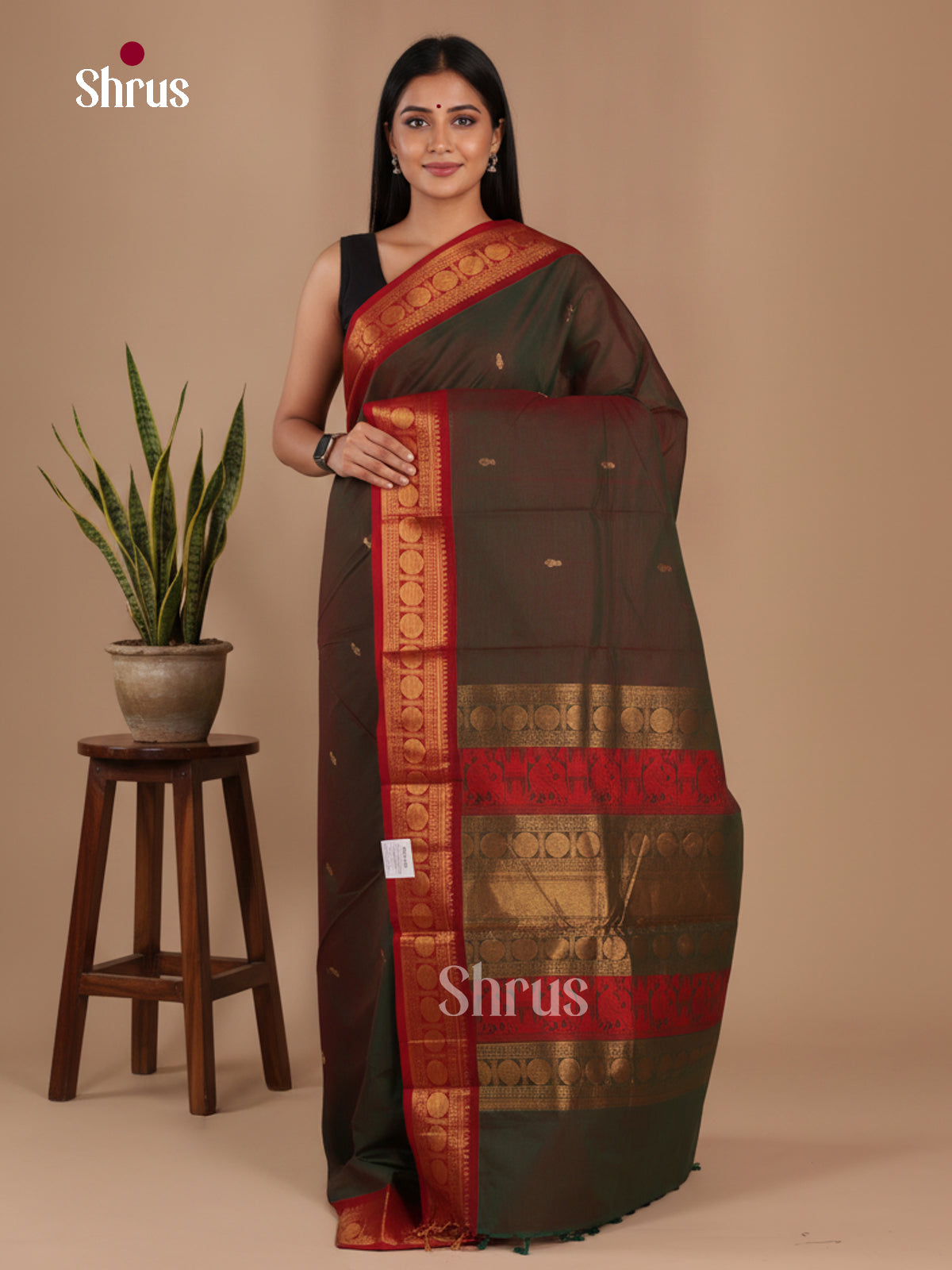 Chettinad Cotton Saree - EFS17001 - Shop on Shrus.com