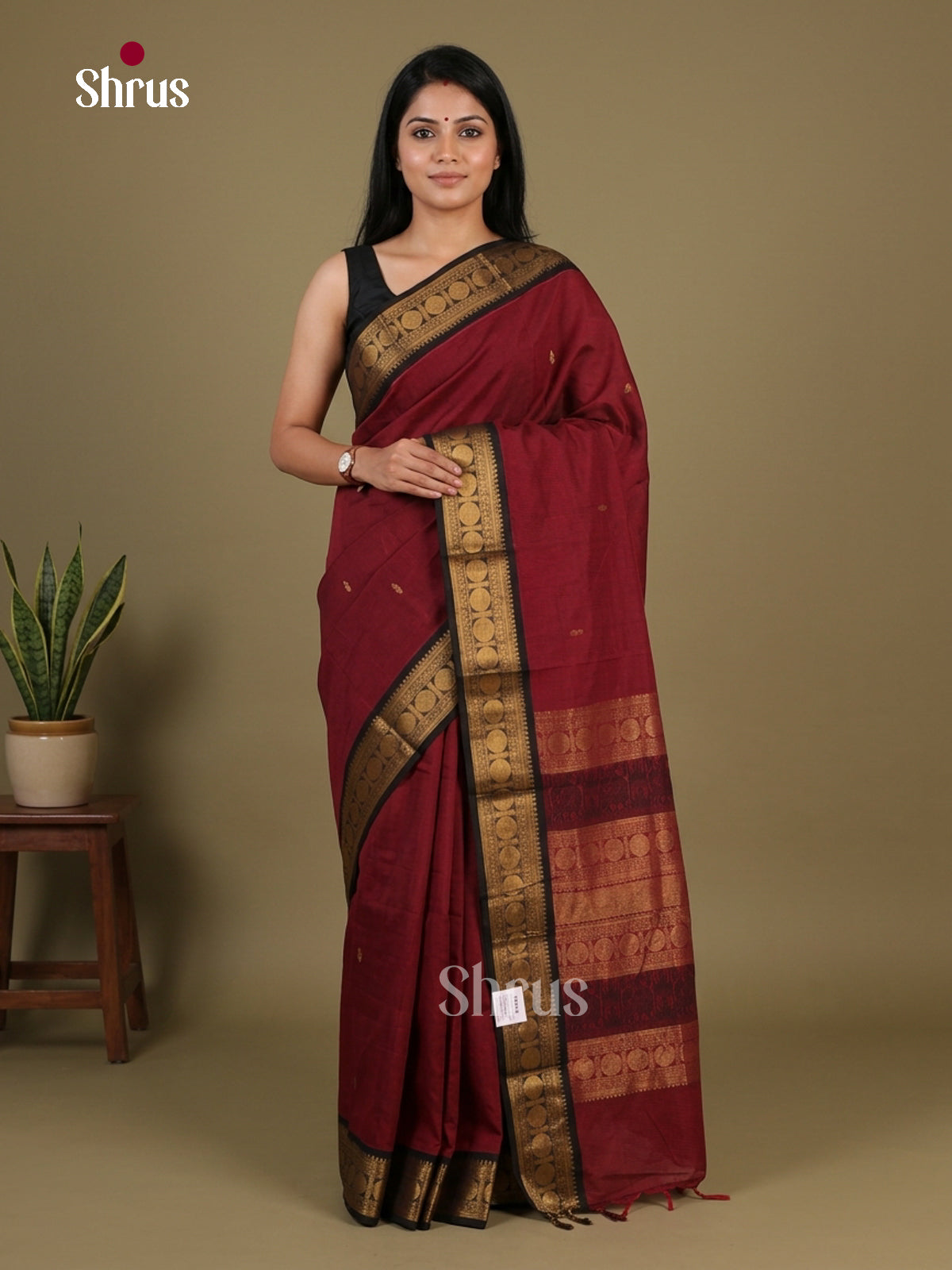 Chettinad Cotton Saree - EFS17005 - Shop on Shrus.com