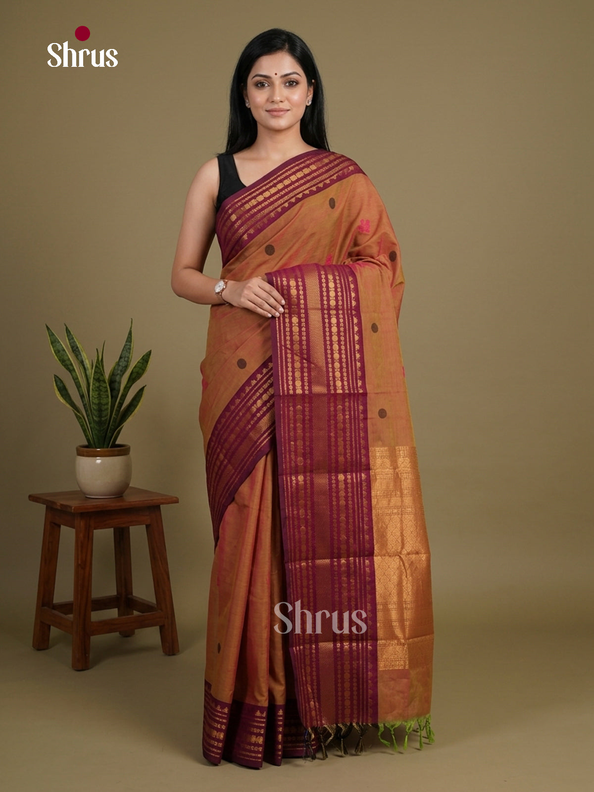 Chettinad Cotton Saree - EFS17008 - Shop on Shrus.com