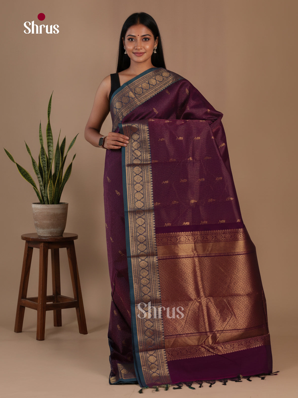 Chettinad Cotton Saree - EFS17010 - Shop on Shrus.com