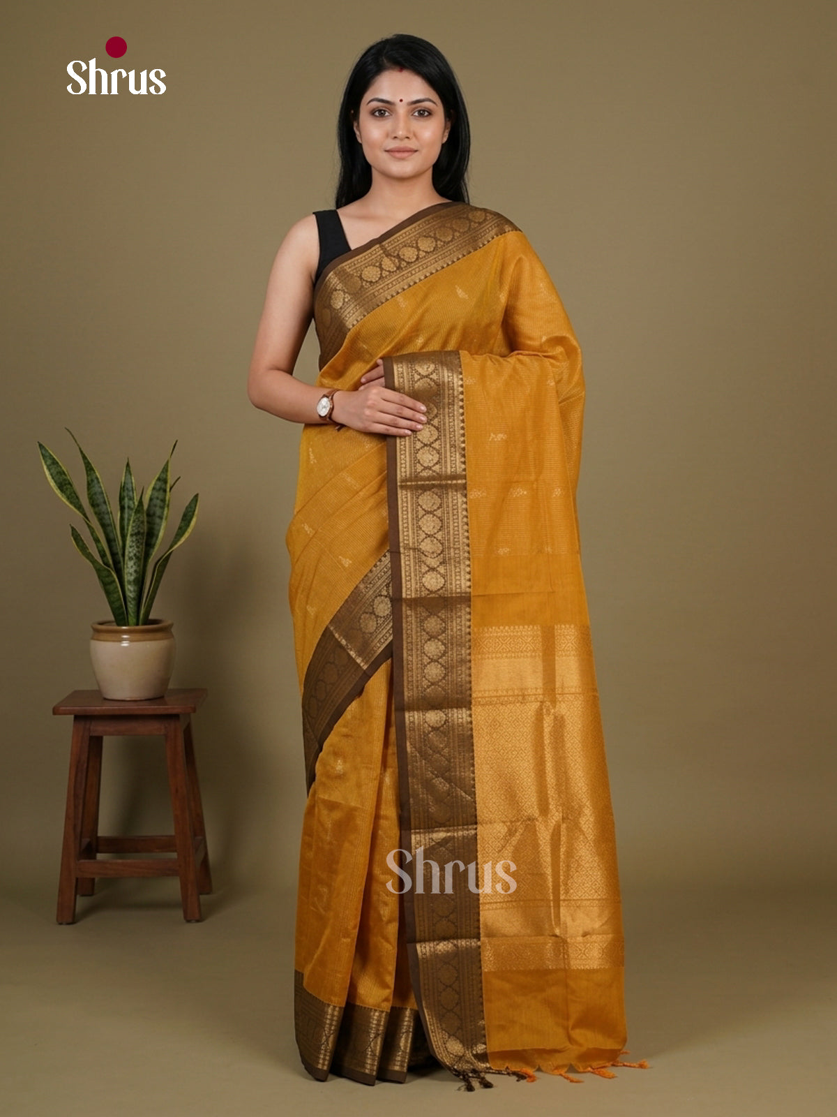 Chettinad Cotton Saree - EFS17012 - Shop on Shrus.com