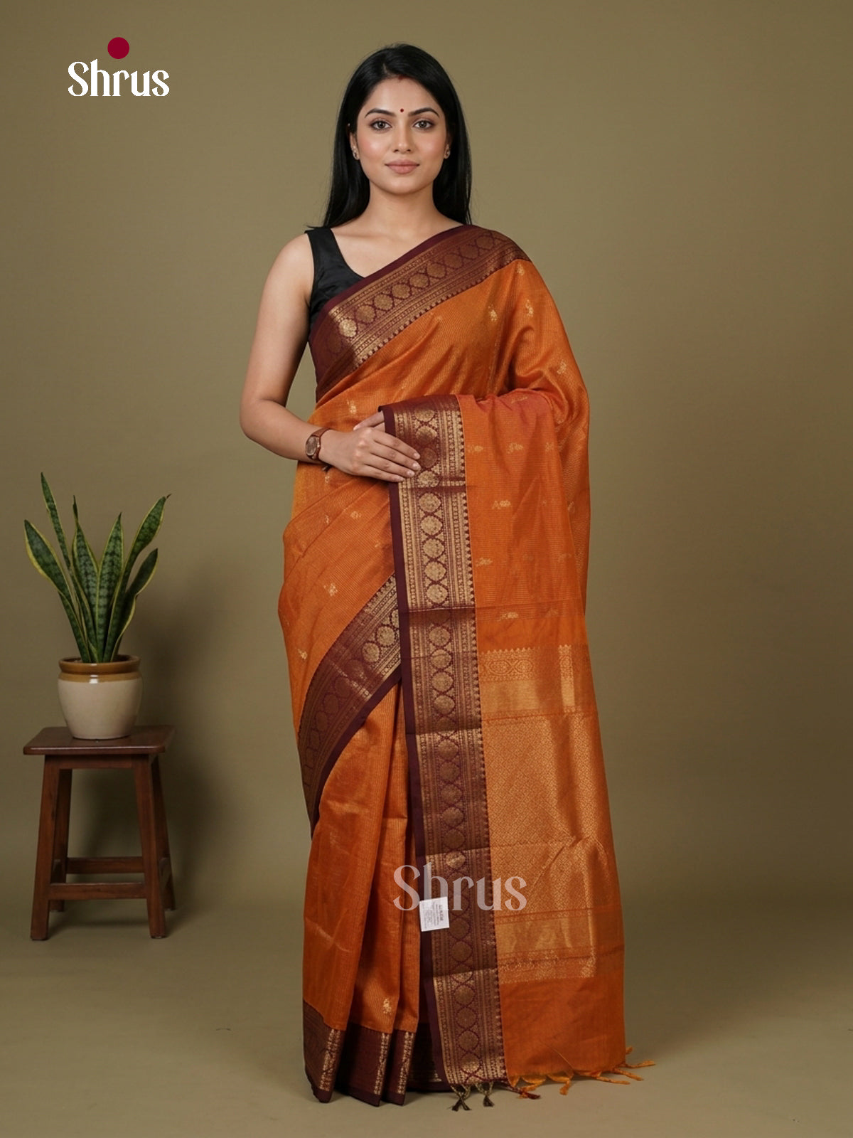 Chettinad Cotton Saree - EFS17014 - Shop on Shrus.com