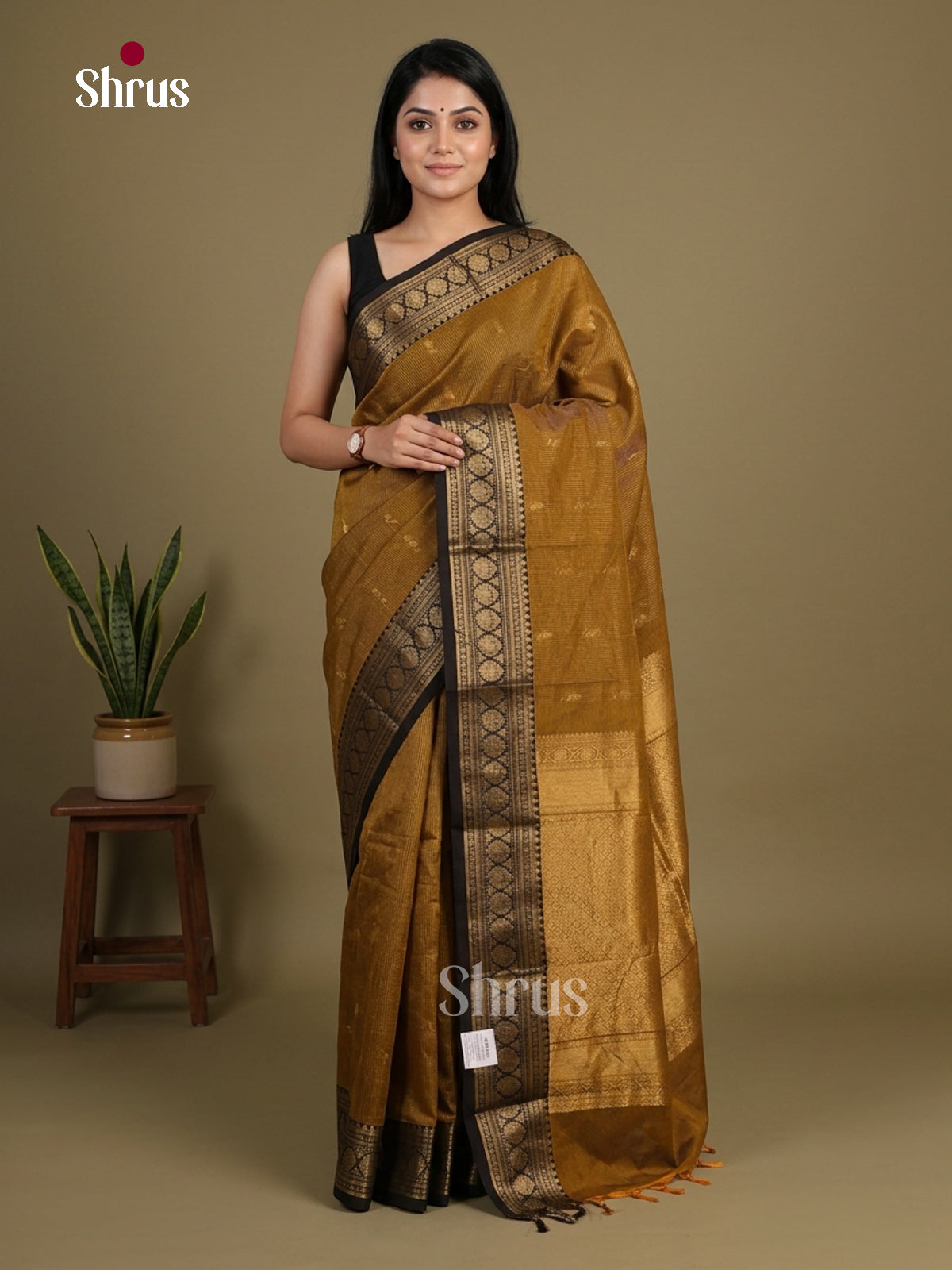 Chettinad Cotton Saree - EFS17016