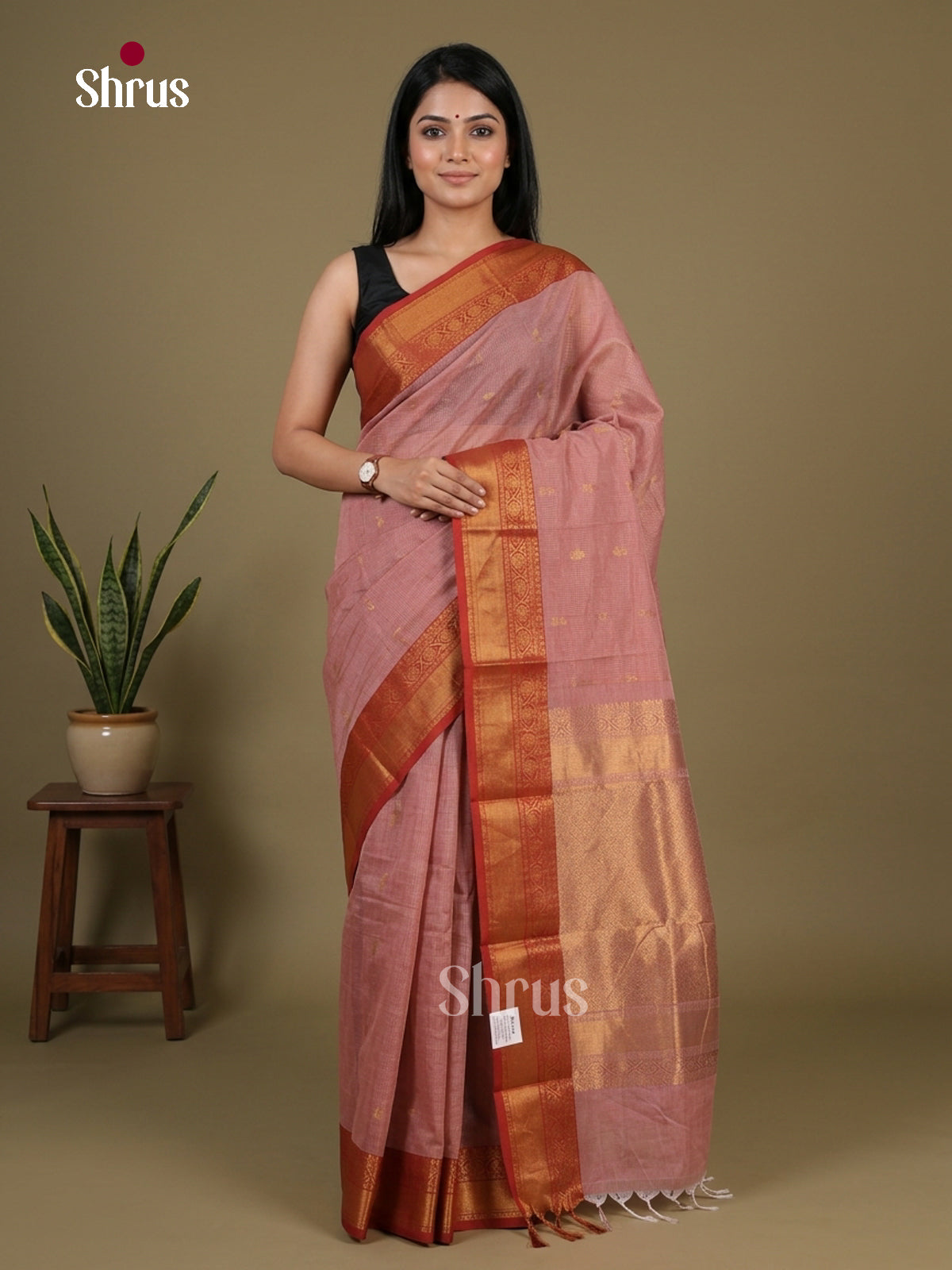 Chettinad Cotton Saree - EFS17017 - Shop on Shrus.com