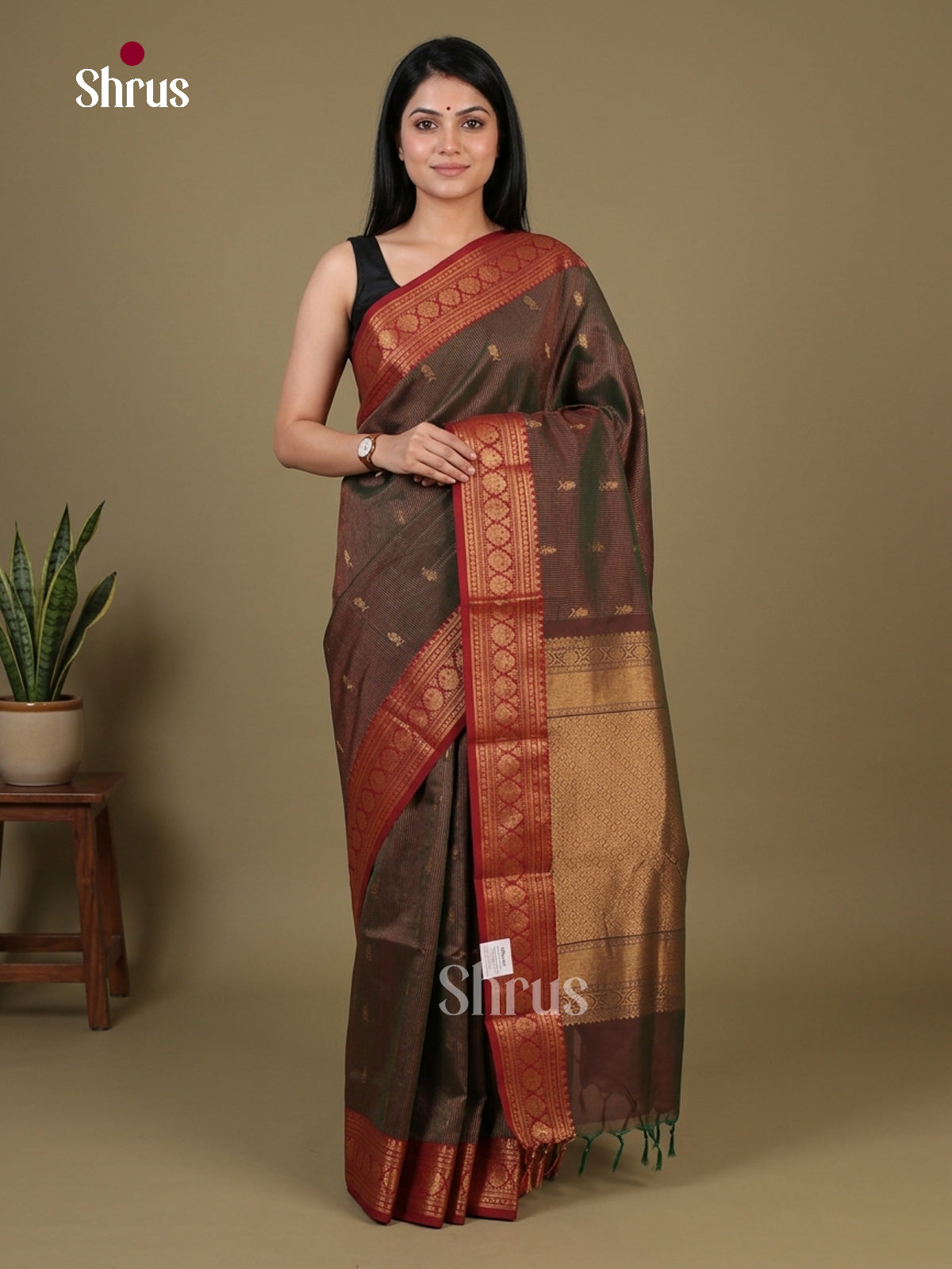 Chettinad Cotton Saree - EFS17018 - Shop on Shrus.com