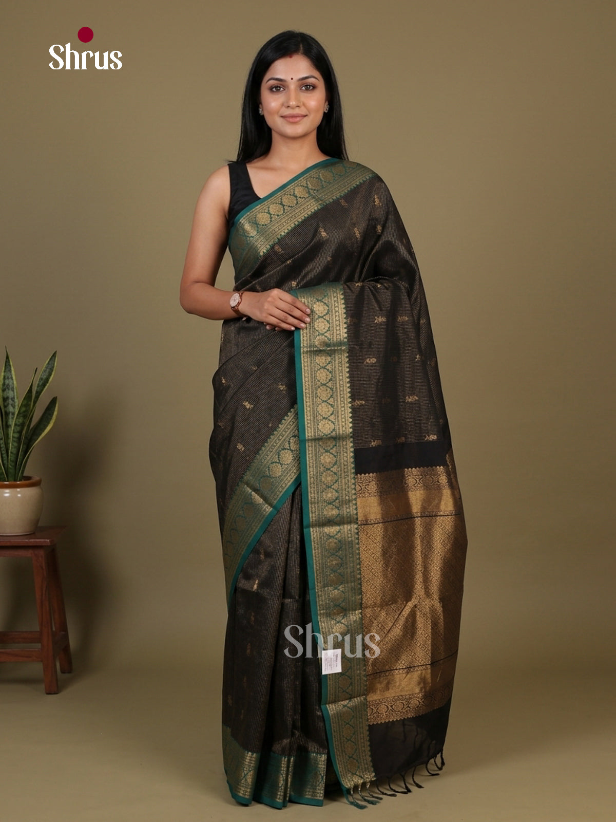 Chettinad Cotton Saree - EFS17019 - Shop on Shrus.com