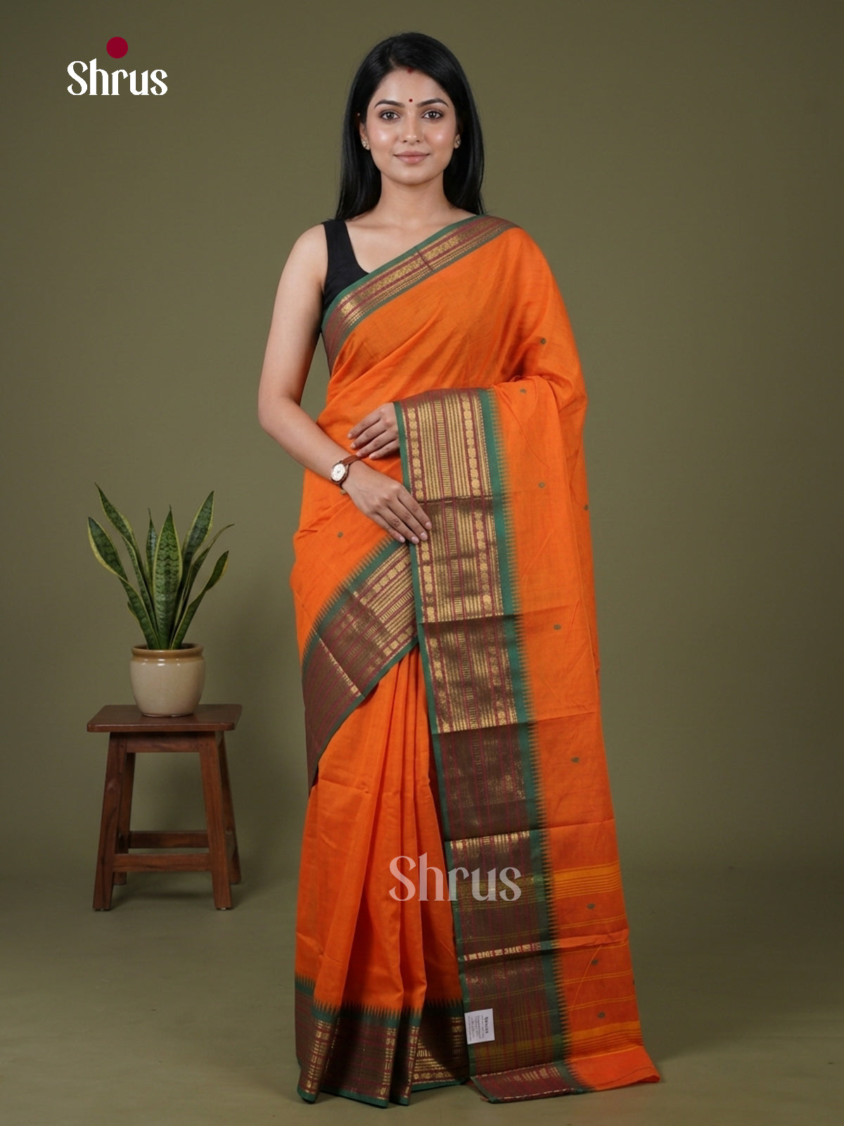 Chettinad Cotton Saree - EFS19014
